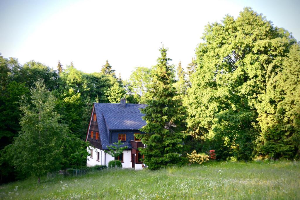 Blick über die Wiese auf das Ferienhaus Tanneck