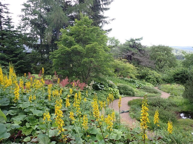 Botanischer Garten Schellerhau mit blühenden Stauden