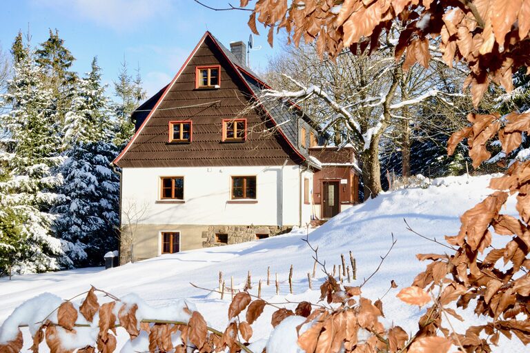 Ferienhaus Tanneck im Schnee, im Vordergrund Herbstlaub