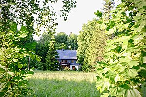 Blick durch Laub auf das Ferienhaus Tanneck