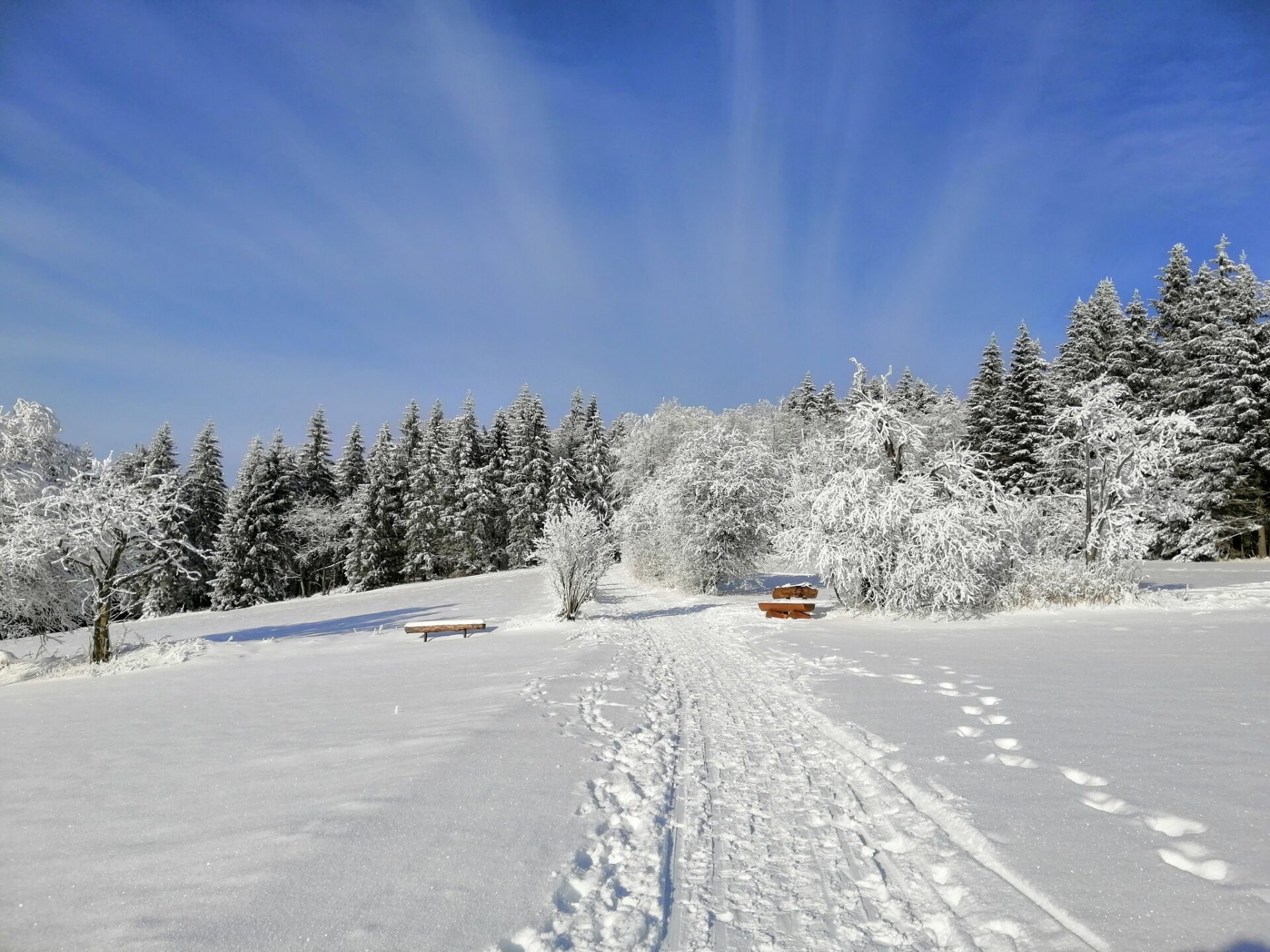 Verschneiter Winterwanderweg bei Altenberg