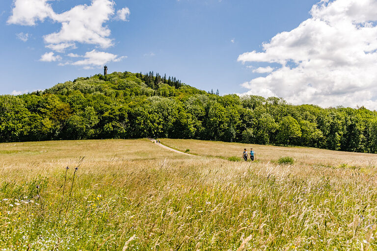 Wanderer auf der Wiese vor dem Geisingberg