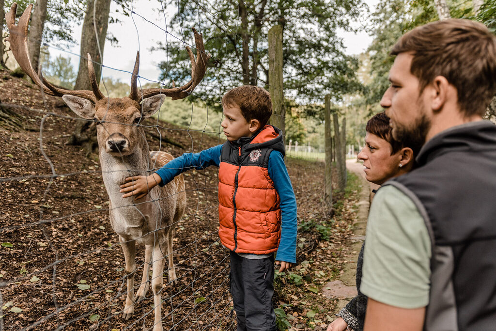 Kind streichelt einen Hirsch im Wildpark Geising